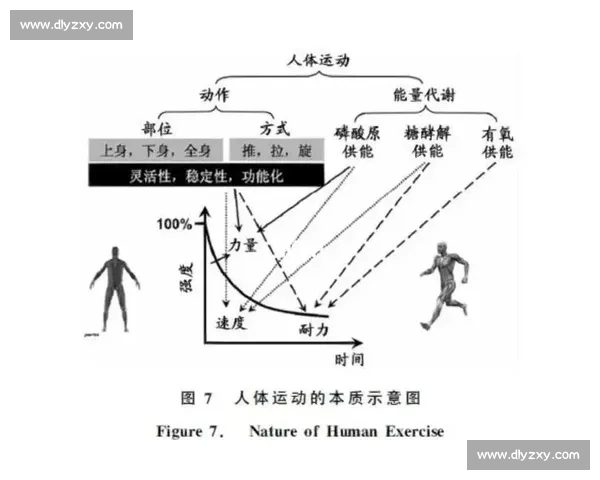全面解析体育竞技能力提升的关键因素与训练策略研究 全面解析体育竞技能力提升的关键因素与训练策略研究