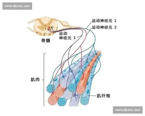 体育科学视角下运动表现提升与训练策略优化研究 体育科学视角下运动表现提升与训练策略优化研究