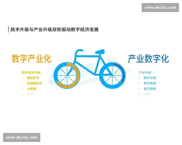 数字经济驱动下体育产业融合创新与区域消费升级协同发展研究 数字经济驱动下体育产业融合创新与区域消费升级协同发展研究