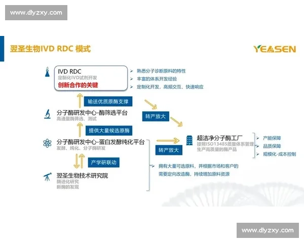 构建现代体育竞技体系下的多维发展模式与创新策略 构建现代体育竞技体系下的多维发展模式与创新策略