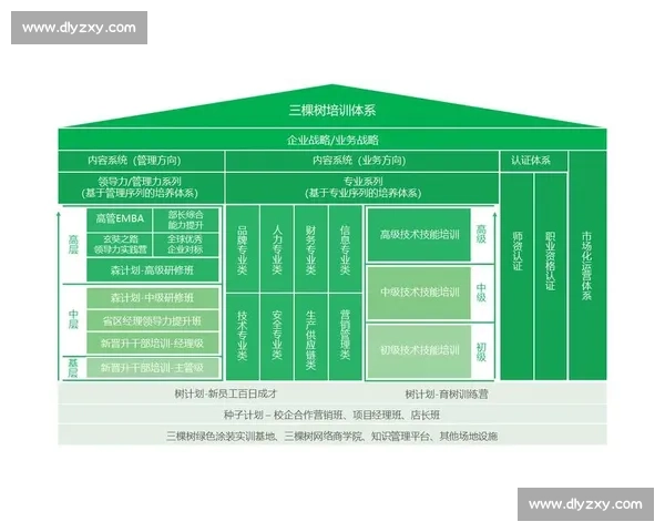 打造全面体育职业培训体系助力运动人才高效成长与发展